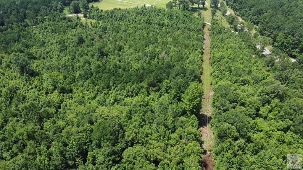 Tbd Fm 561 Property Photo 13