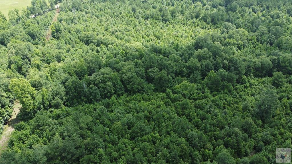 Tbd Fm 561 Property Photo 14