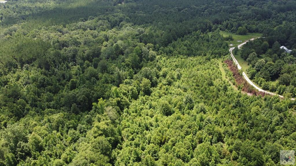 Tbd Fm 561 Property Photo 15