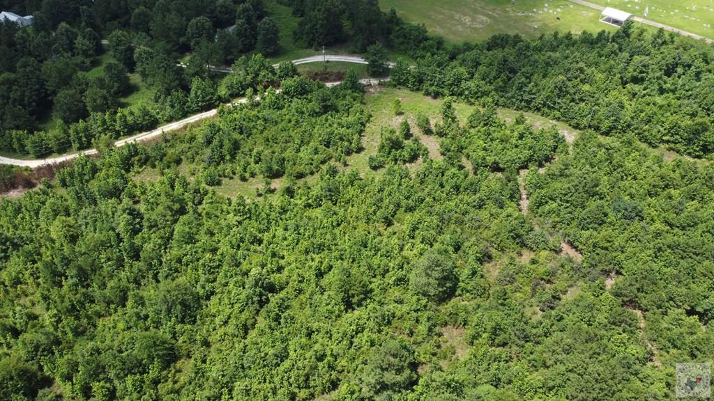 Tbd Fm 561 Property Photo 16