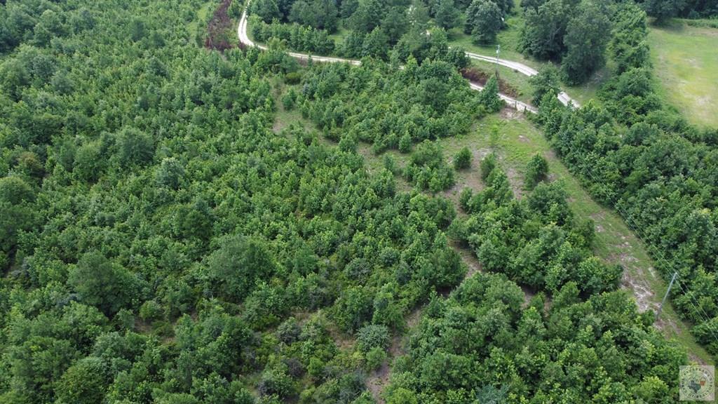 Tbd Fm 561 Property Photo 17