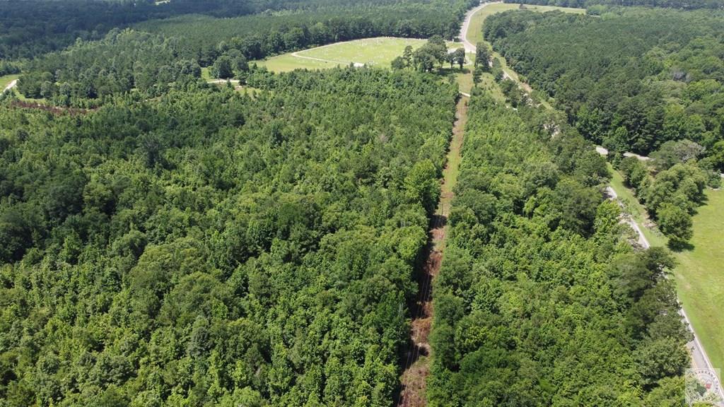 Tbd Fm 561 Property Photo 18