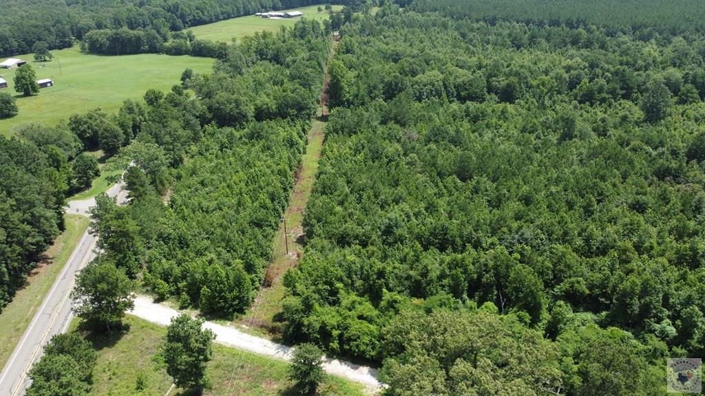 Tbd Fm 561 Property Photo 19