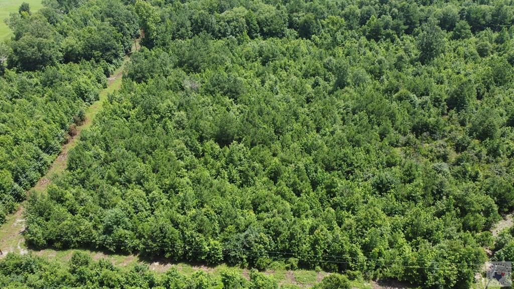 Tbd Fm 561 Property Photo 20