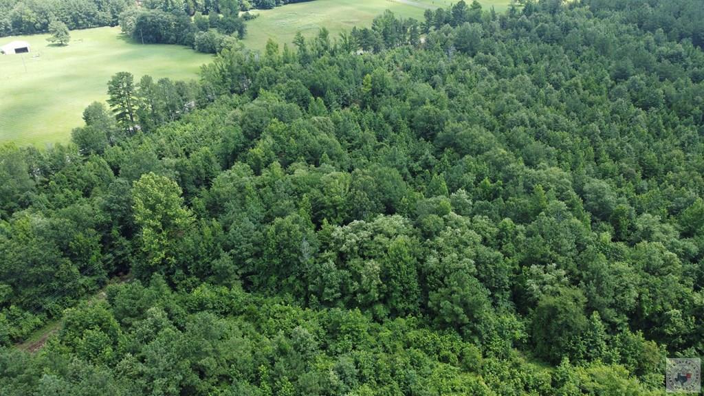 Tbd Fm 561 Property Photo 21