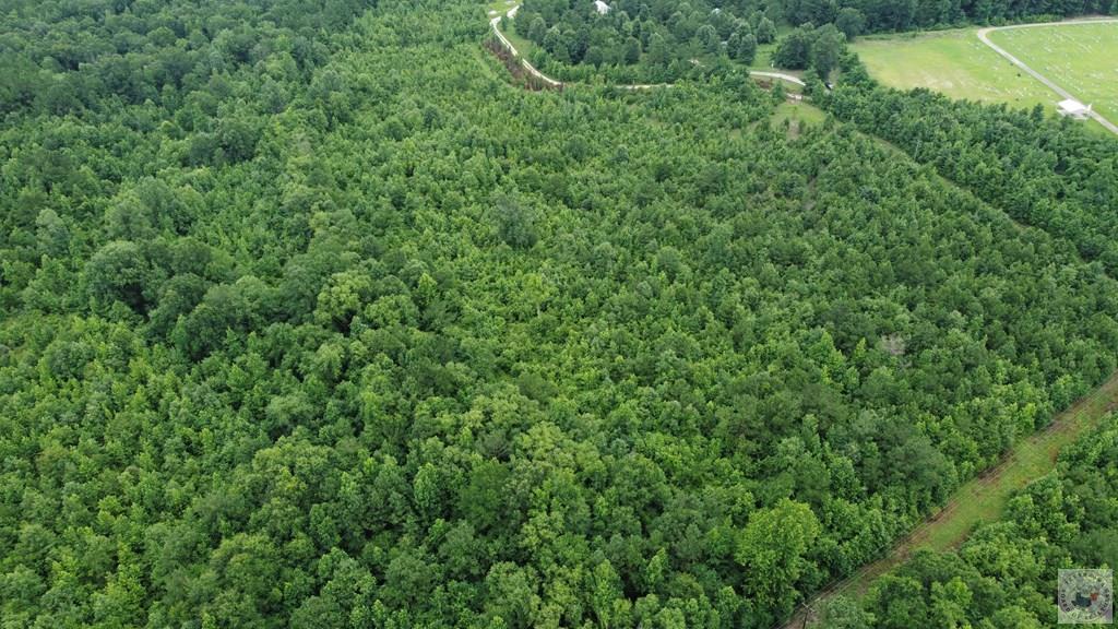 Tbd Fm 561 Property Photo 22
