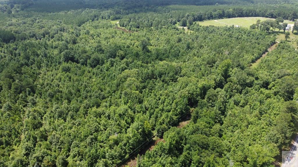 Tbd Fm 561 Property Photo 25
