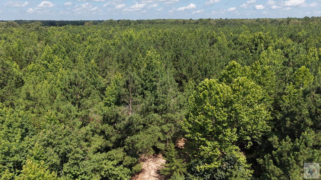 Tract 4 Cr 4320 Property Photo 3