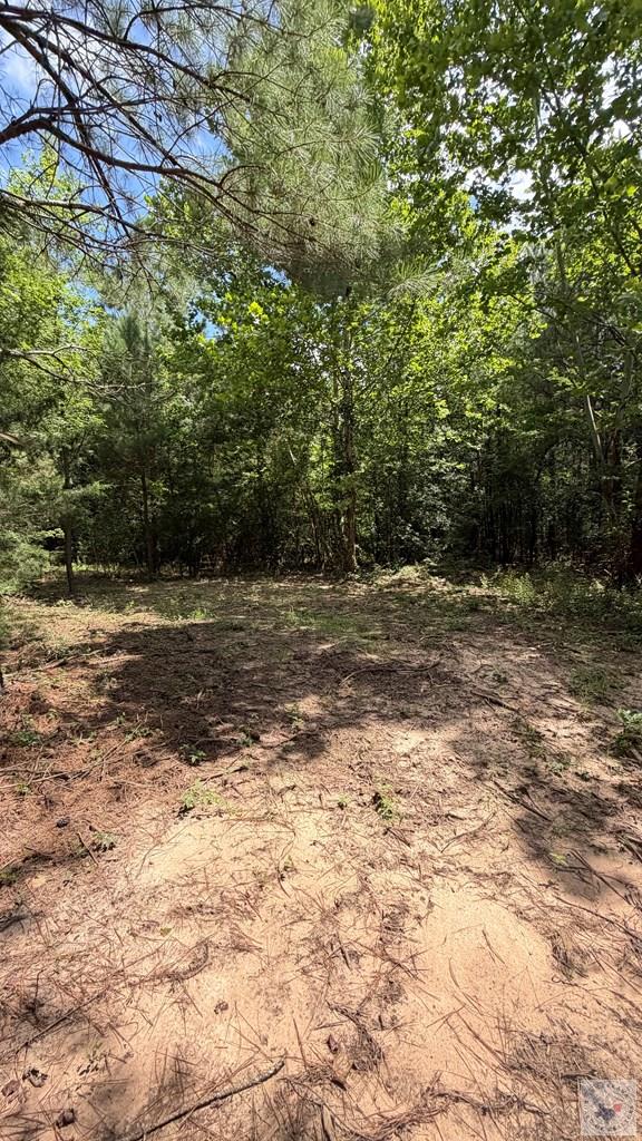 Tract 4 Cr 4320 Property Photo 5