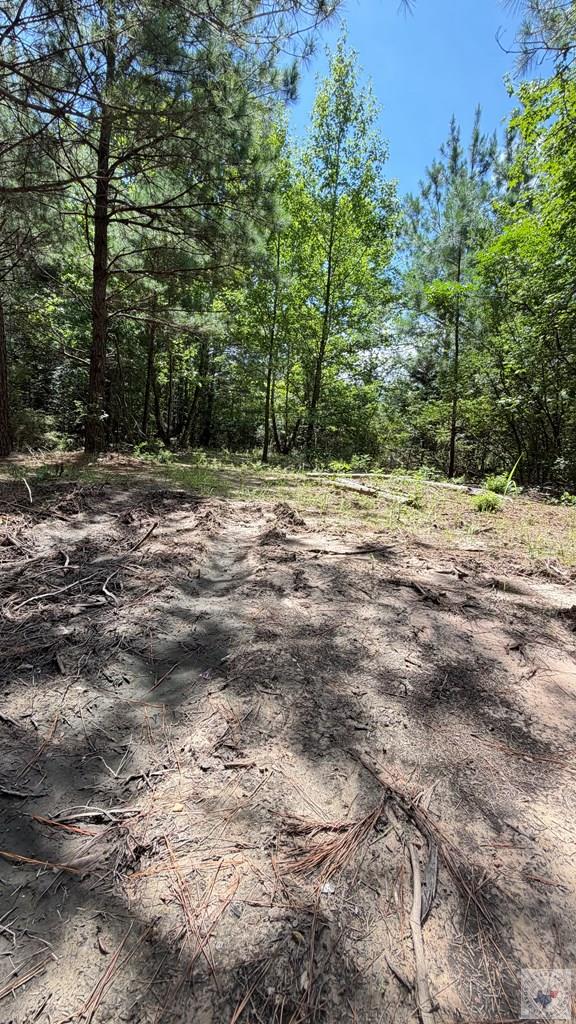 Tract 4 Cr 4320 Property Photo 6
