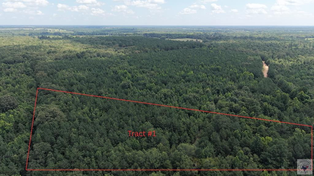 Tract 4 Cr 4320 Property Photo 10