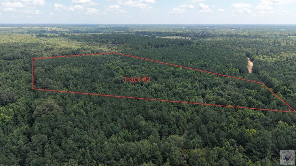 Tract 4 Cr 4320 Property Photo 11