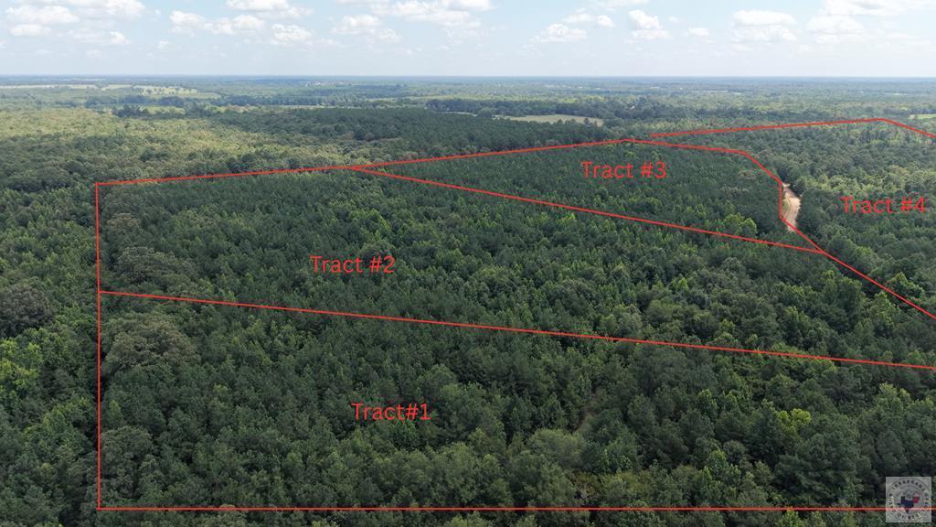 Tract 4 Cr 4320 Property Photo 13