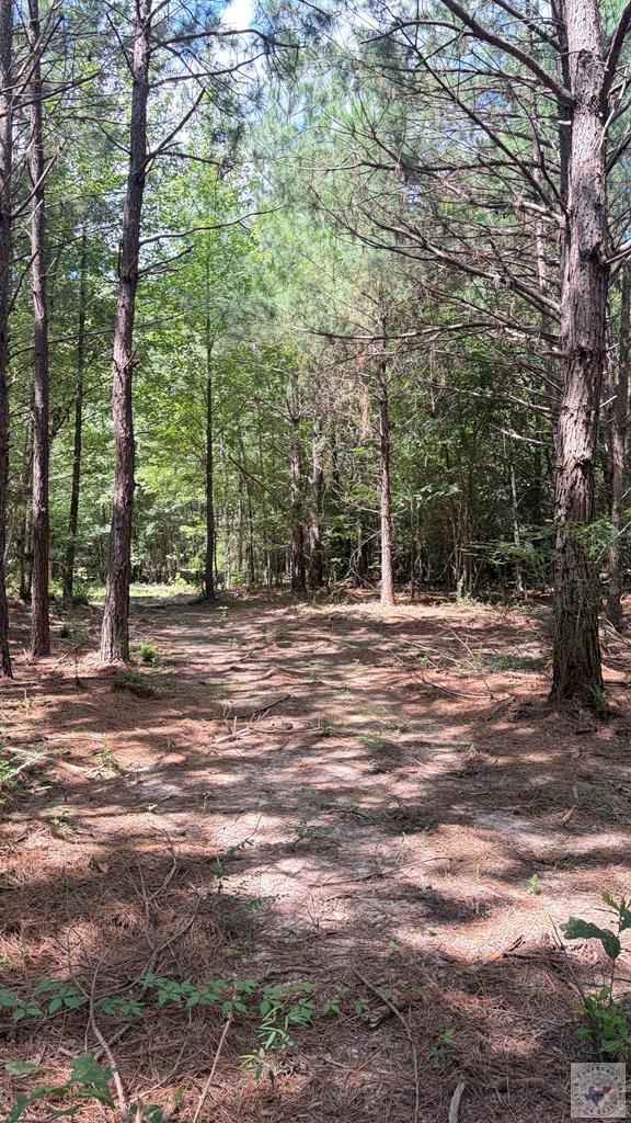 Tract 4 Cr 4320 Property Photo 14