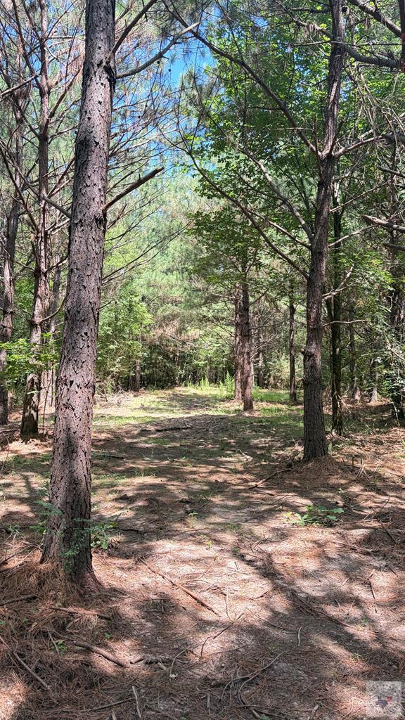 Tract 4 Cr 4320 Property Photo 15