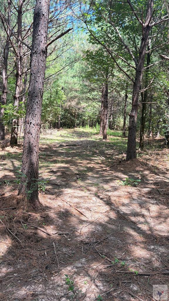 Tract 4 Cr 4320 Property Photo 16
