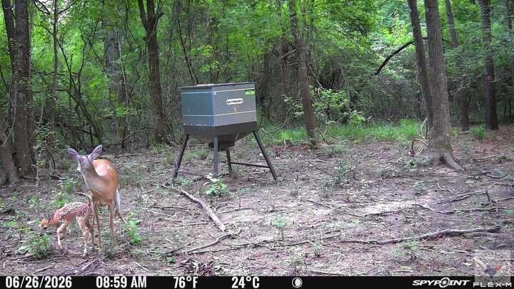 Tract 4 Cr 4320 Property Photo 22