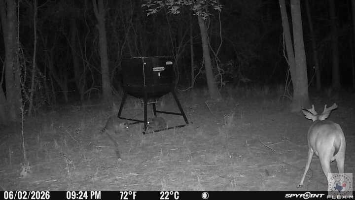 Tract 4 Cr 4320 Property Photo 24