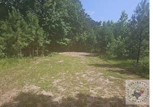 22059 State Highway 154