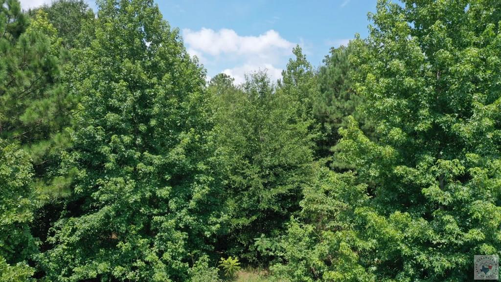 0001 County Road 3885 Property Photo 3