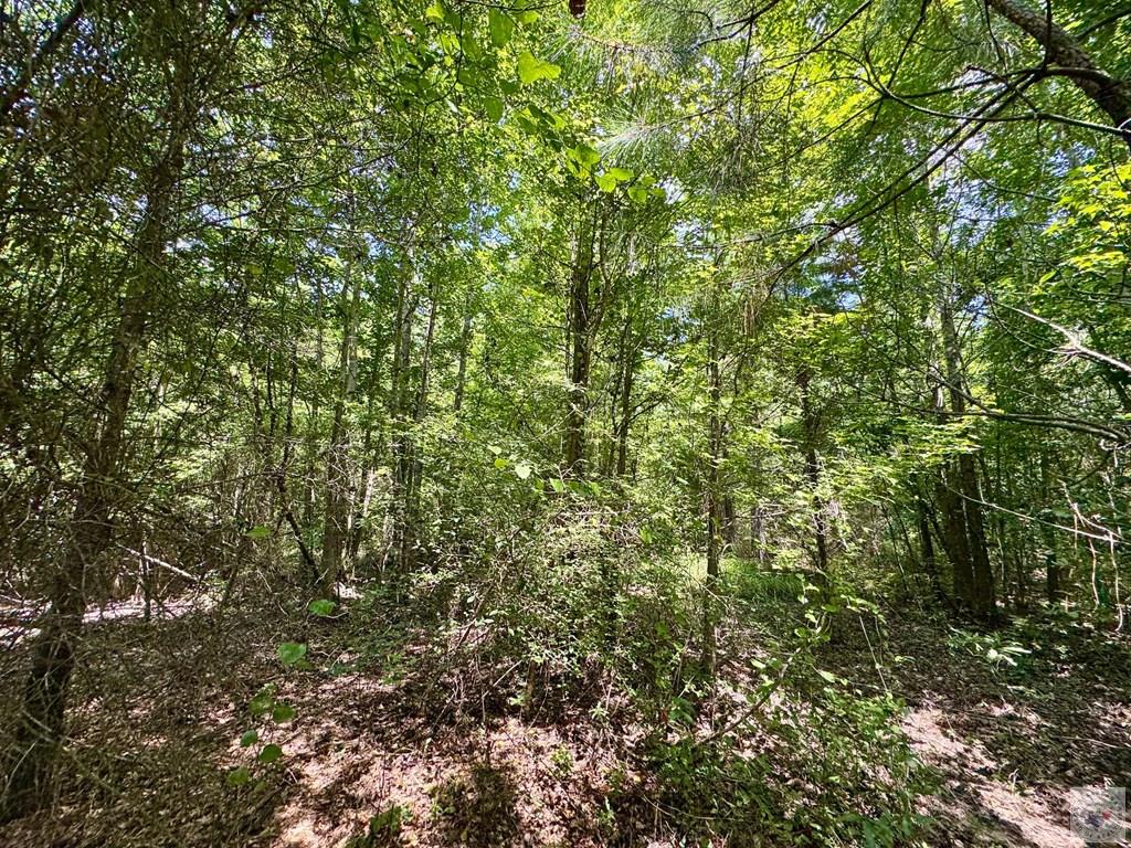 0001 County Road 3885 Property Photo 13