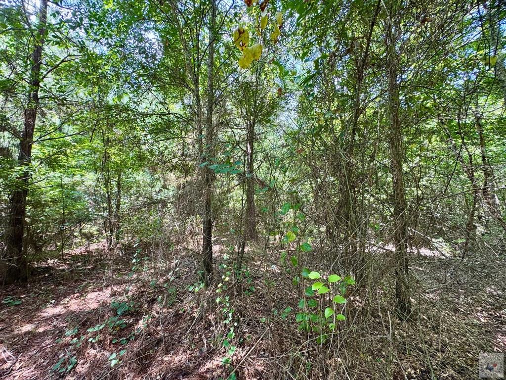0001 County Road 3885 Property Photo 14