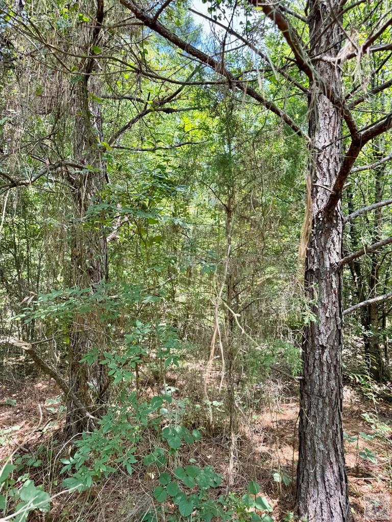 0001 County Road 3885 Property Photo 21