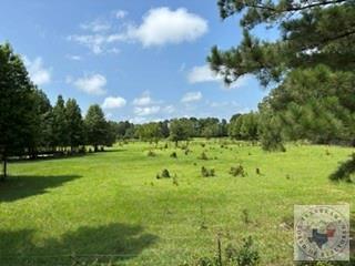 9131 Hwy 67 Property Photo 1