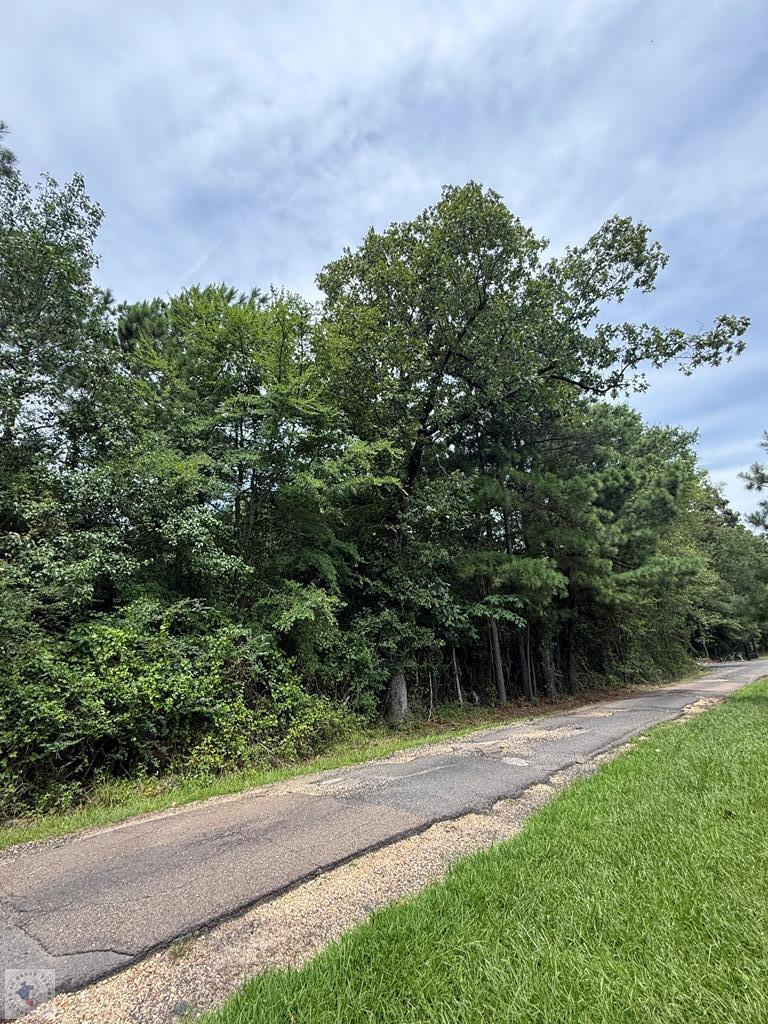 4529 Parker Ln Property Photo 1