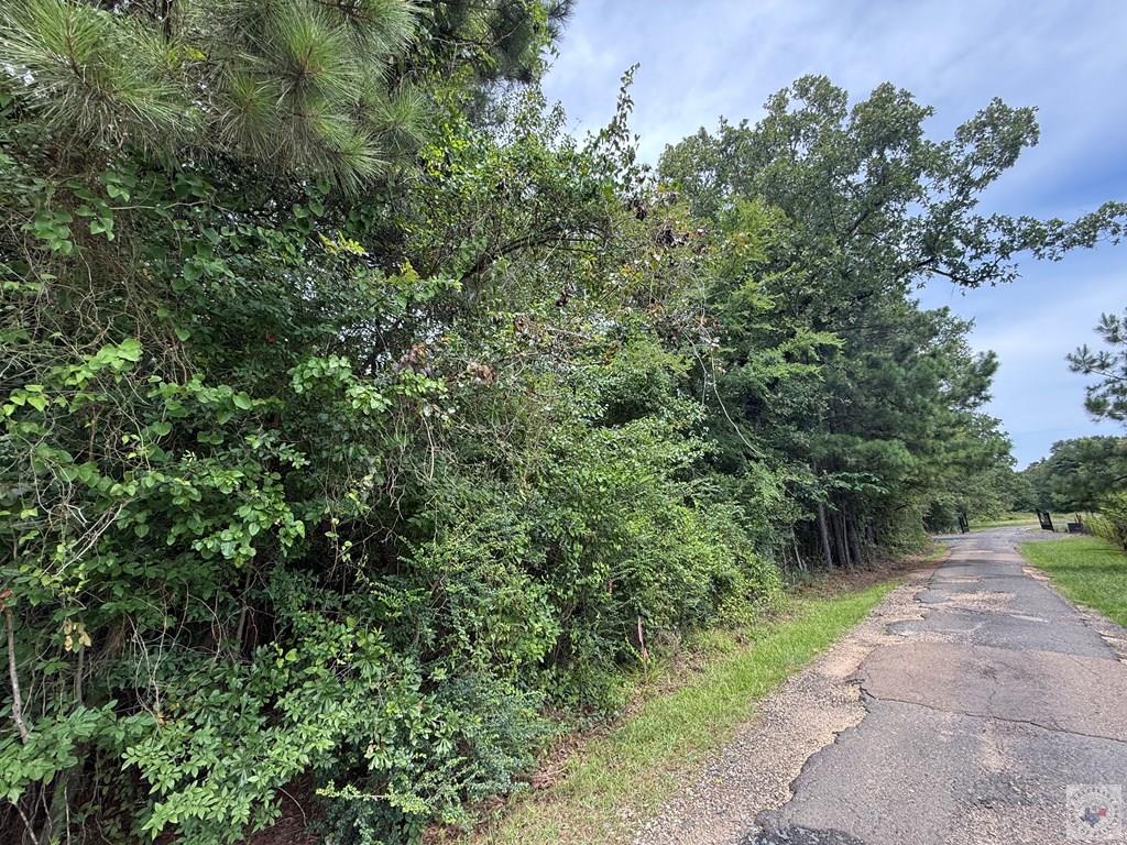 4529 Parker Ln Property Photo 2