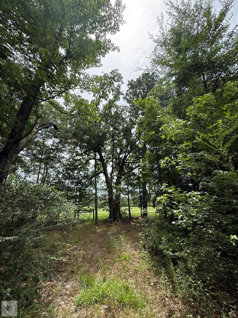 4529 Parker Ln Property Photo 6