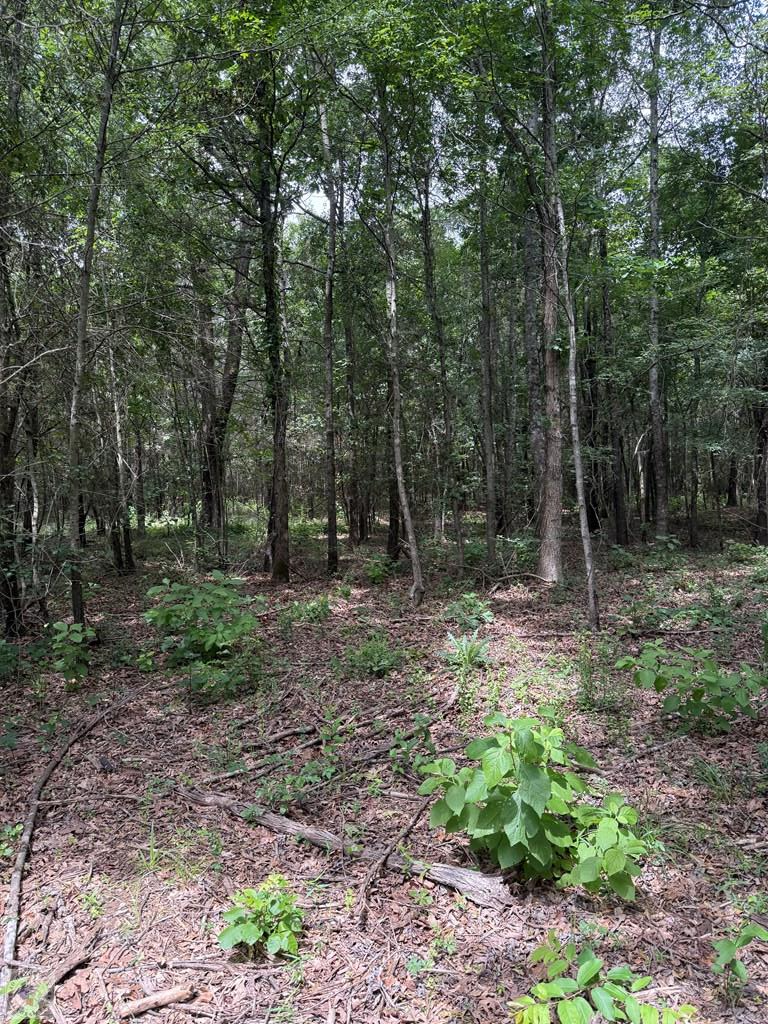 4529 Parker Ln Property Photo 10