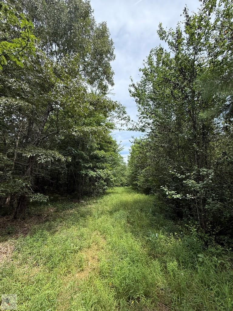 4529 Parker Ln Property Photo 12
