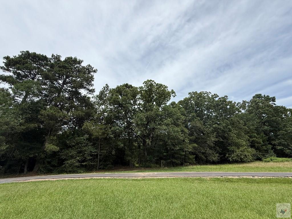 4529 Parker Ln Property Photo 13
