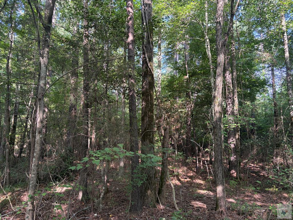 205710 Property Photo 1