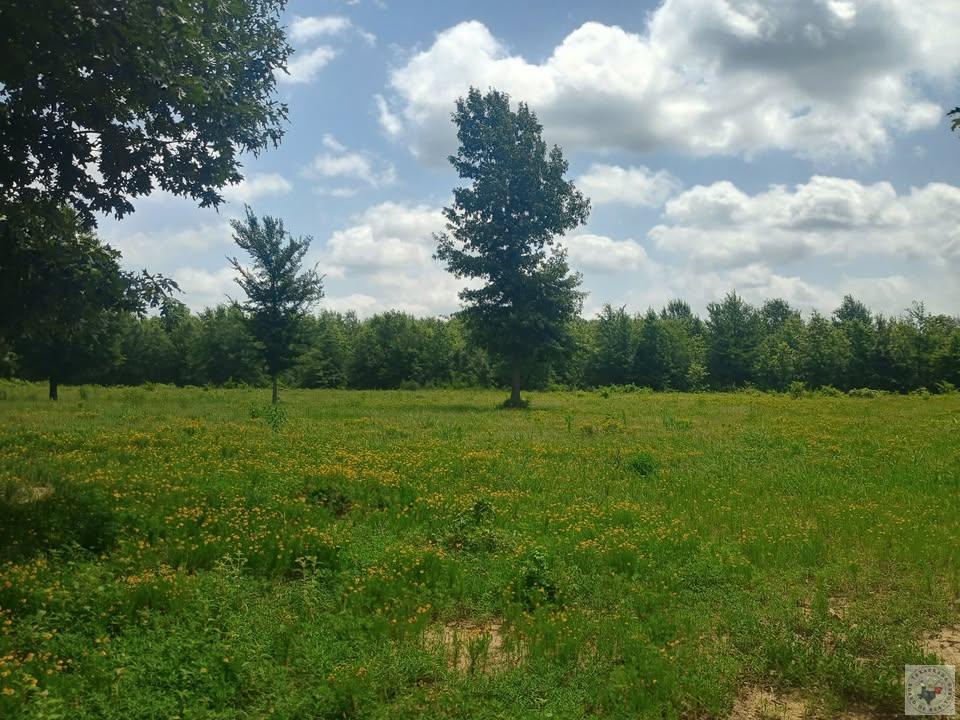 Tbd Fm 990 Property Photo 1