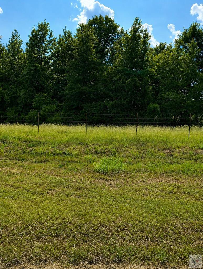 Tract 2 Tbd Fm 990 Property Photo 1