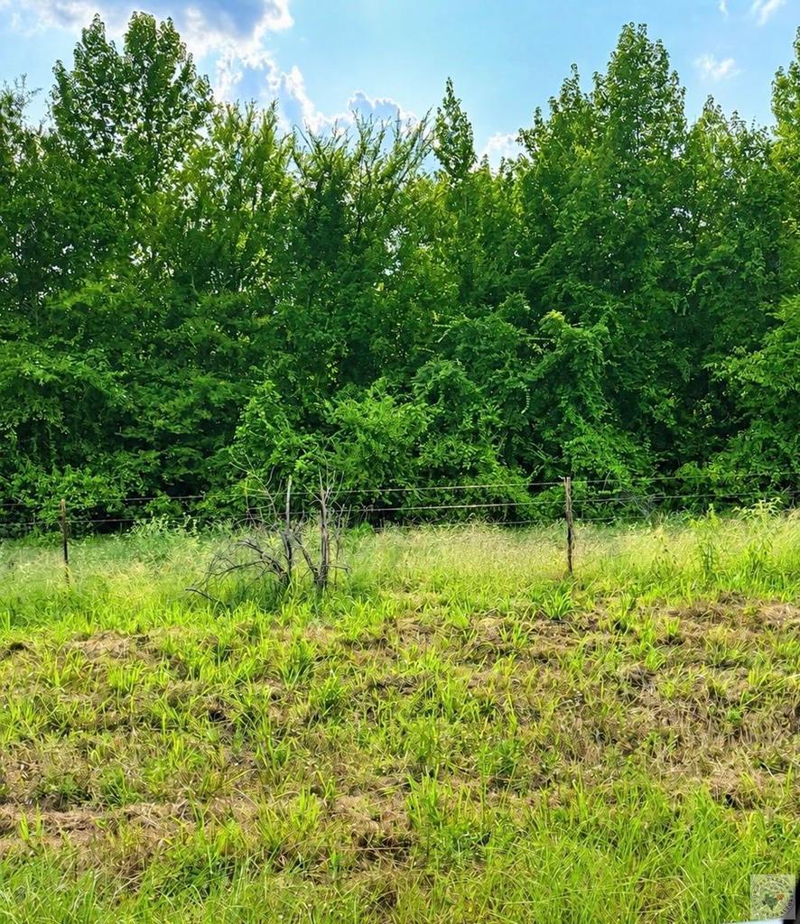 Tract 3 Tbd Fm 990 Property Photo 1