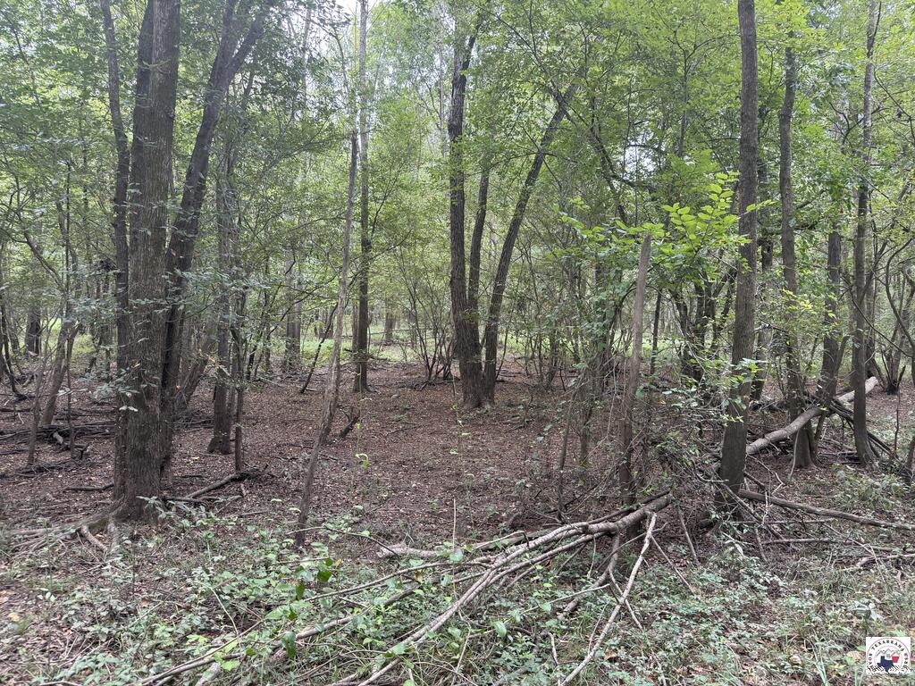 Tbd Cr 4126 Property Photo 1
