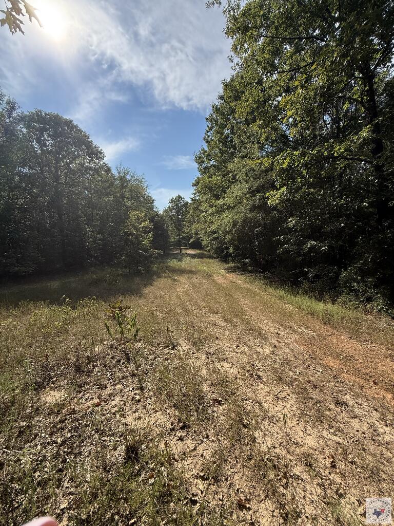 371 County Road 4266 Property Photo 1