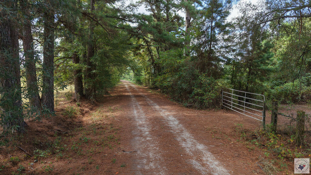 0000 County Road 3209 Property Photo 1