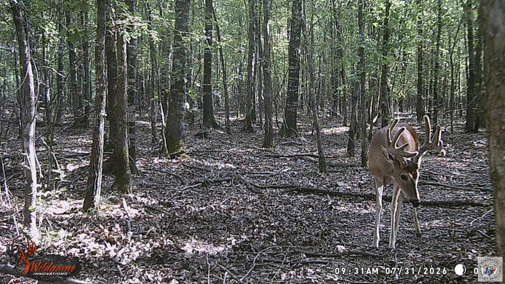 171 +/- Ac Cr 4670 Property Photo 1