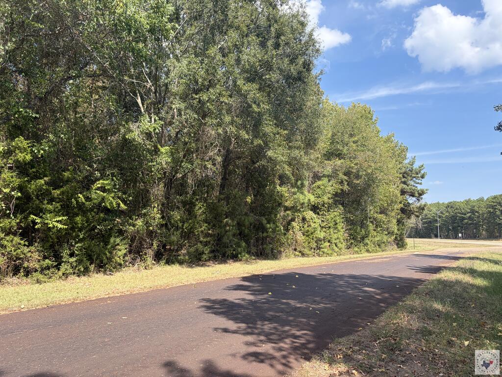 Tbd Us Hwy 59 Property Photo 5