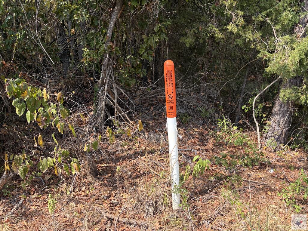 Tbd Us Hwy 59 Property Photo 7