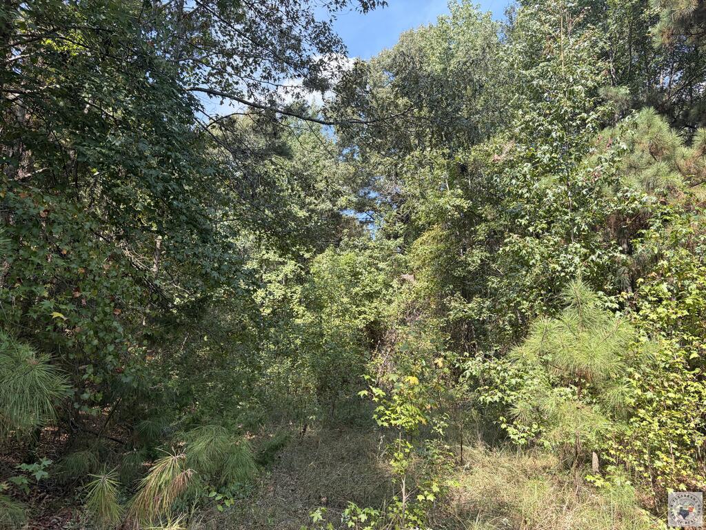 Tbd Us Hwy 59 Property Photo 8