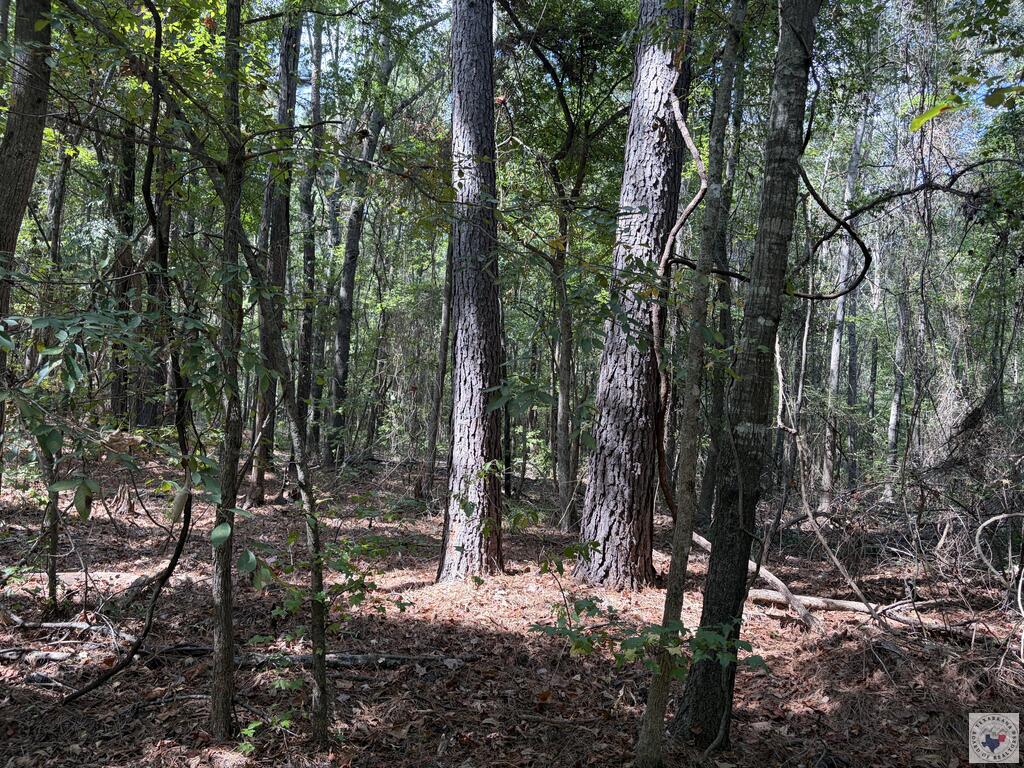 Tbd Us Hwy 59 Property Photo 9