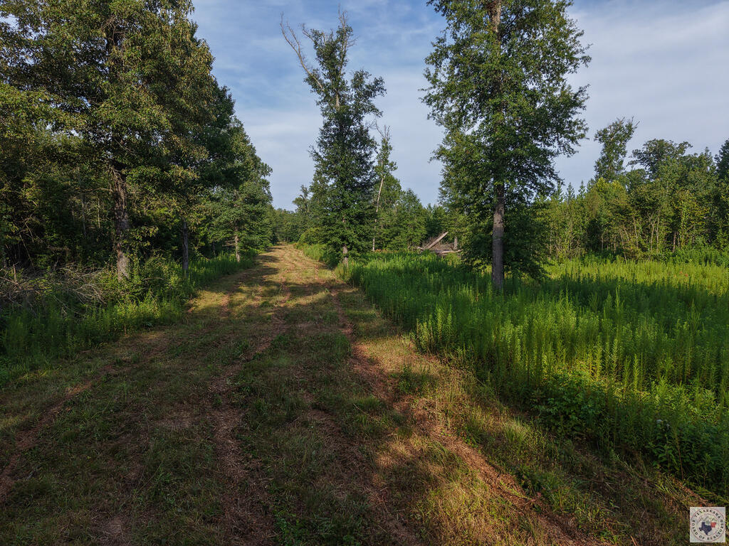 0000 Cr 1778 Property Photo 10