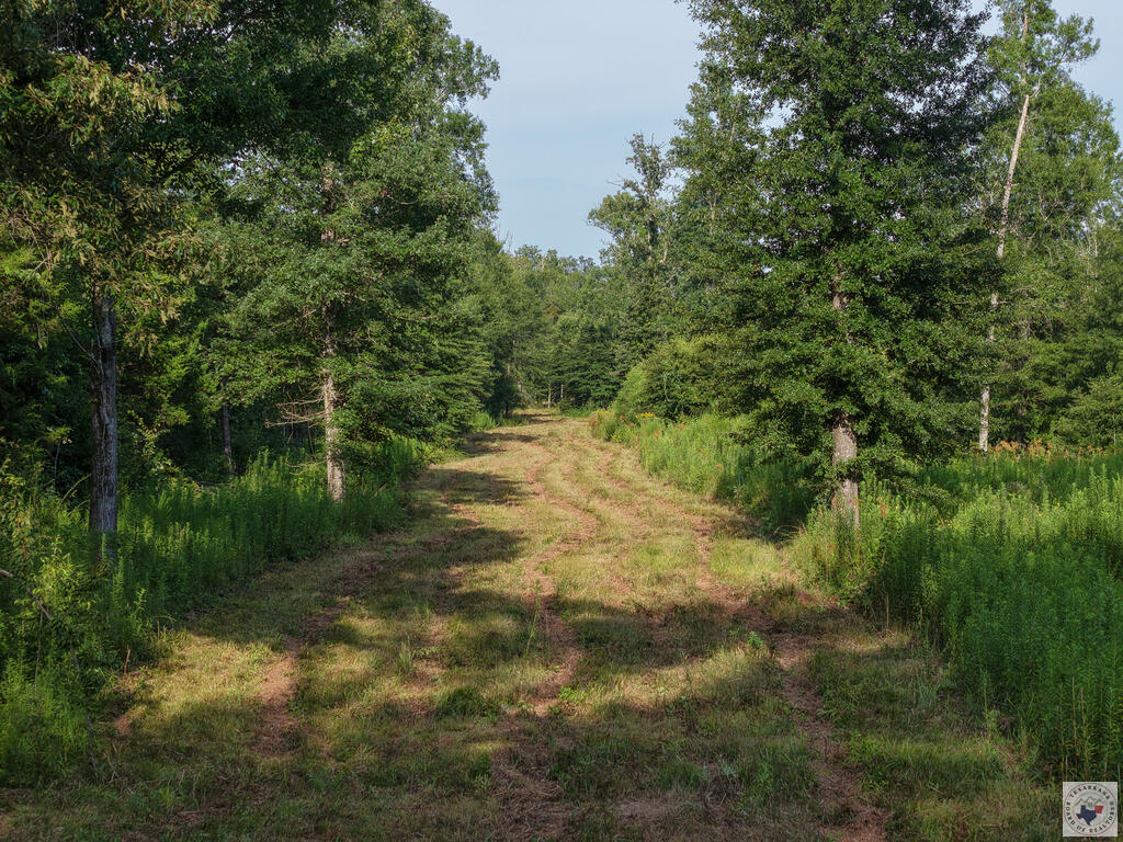 0000 Cr 1778 Property Photo 11