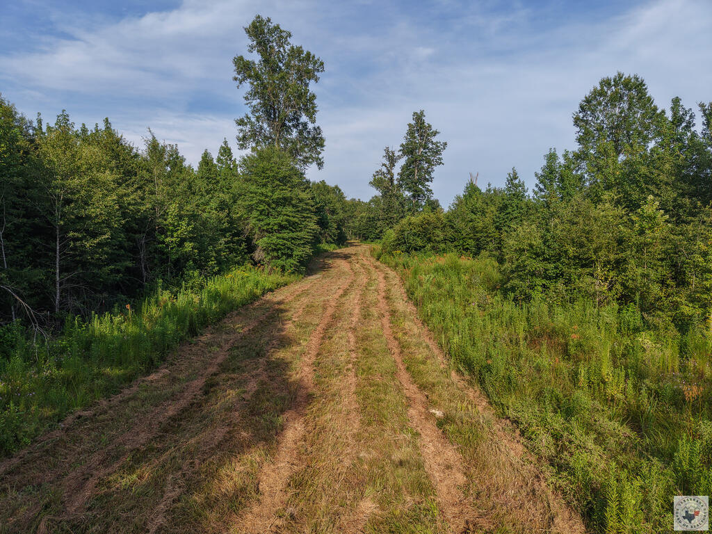 0000 Cr 1778 Property Photo 12