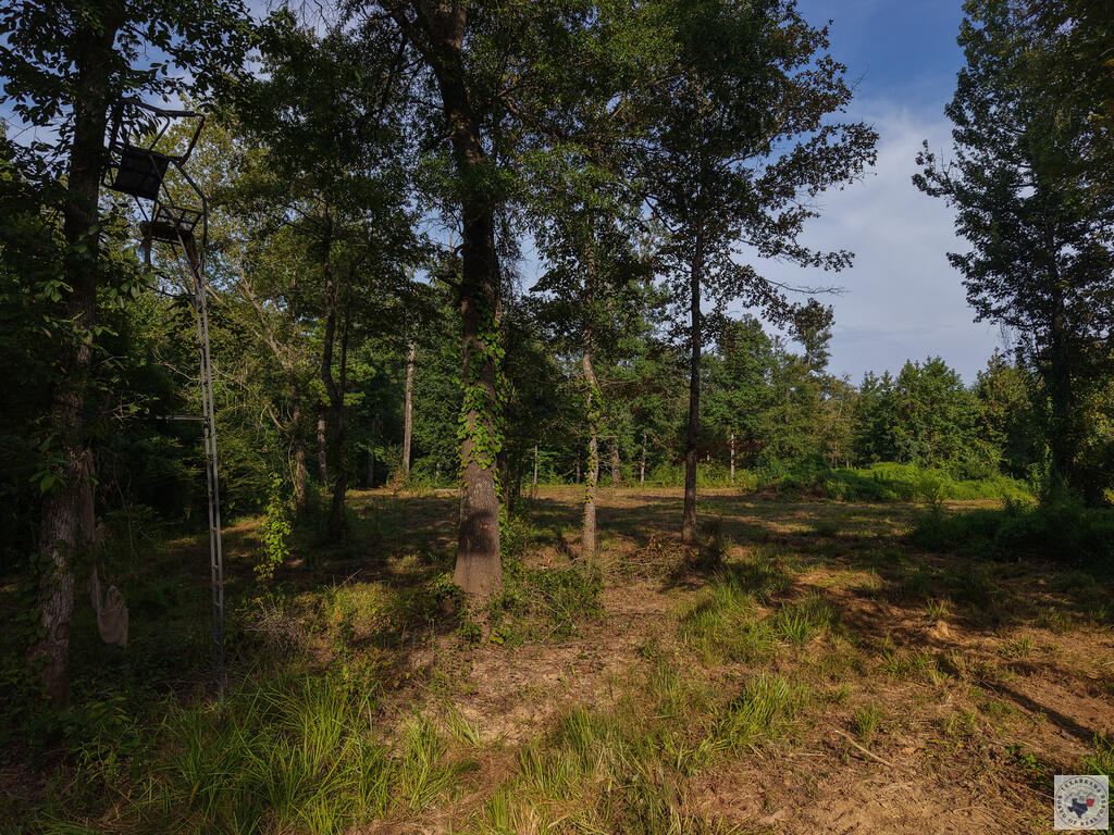 0000 Cr 1778 Property Photo 14
